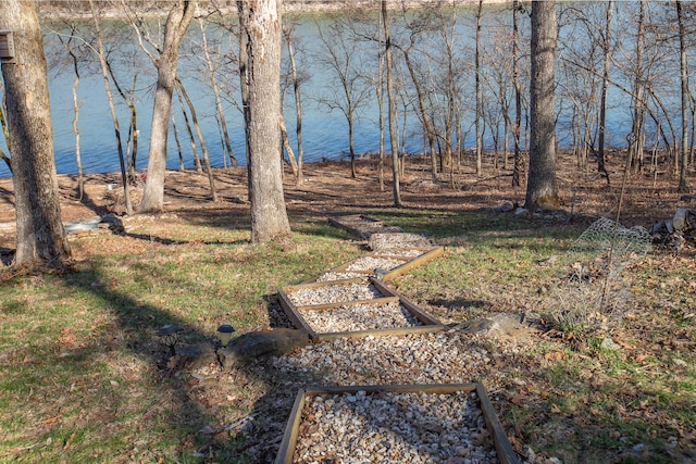28007 Fox Fire Ln, Shell Knob, MO 65747 - view of yard