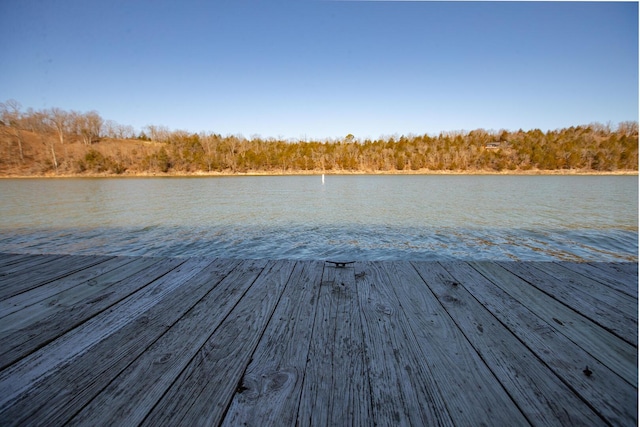 28007 Fox Fire Ln, Shell Knob, MO 65747 - dock with a water view and a forest view