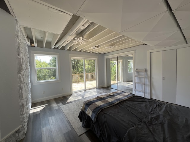 bedroom featuring wood finished floors, baseboards, multiple windows, and access to exterior