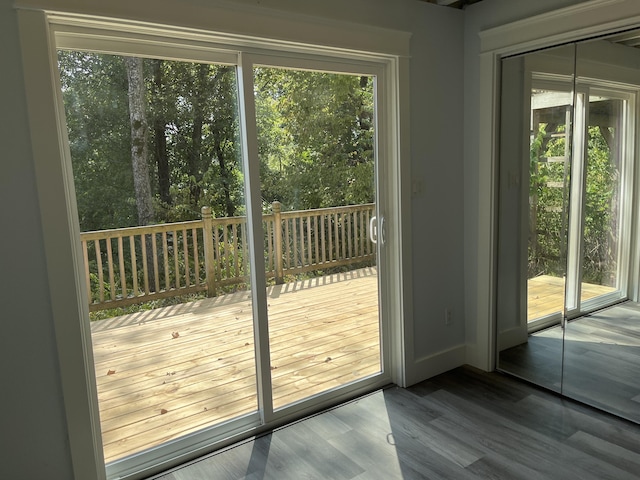 doorway featuring wood finished floors and a healthy amount of sunlight