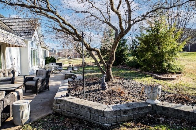 view of yard featuring a patio area