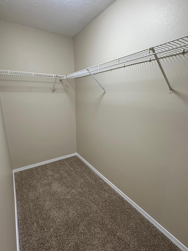 walk in closet with carpet