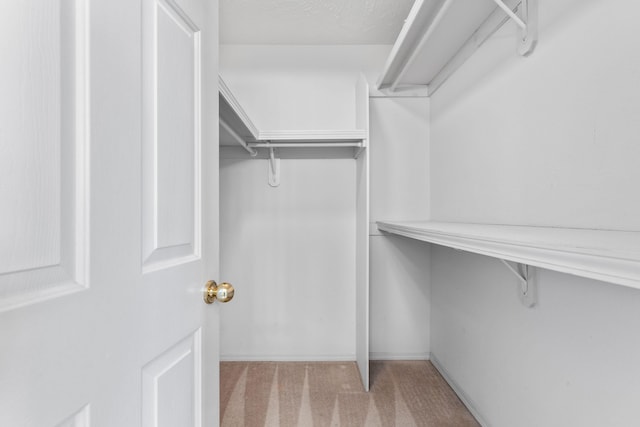 spacious closet with carpet