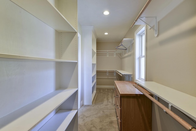 spacious closet featuring light colored carpet