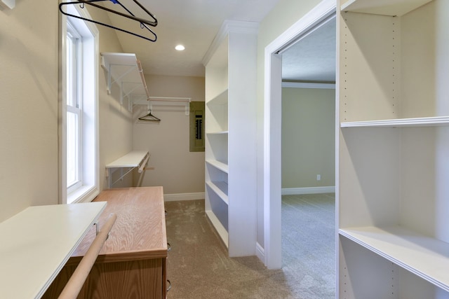 walk in closet featuring carpet floors