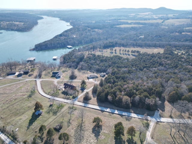 birds eye view of property featuring a view of trees and a water view