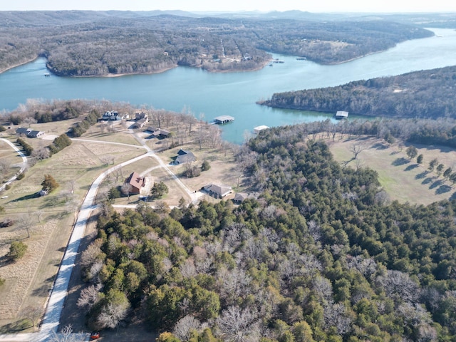 drone / aerial view featuring a view of trees and a water view