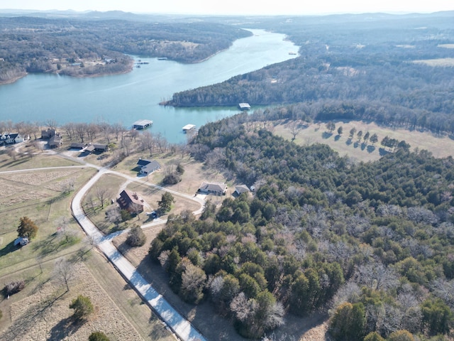 drone / aerial view with a wooded view and a water view