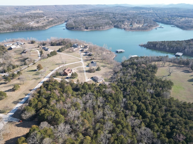 aerial view featuring a view of trees and a water view