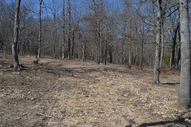 view of landscape featuring a wooded view