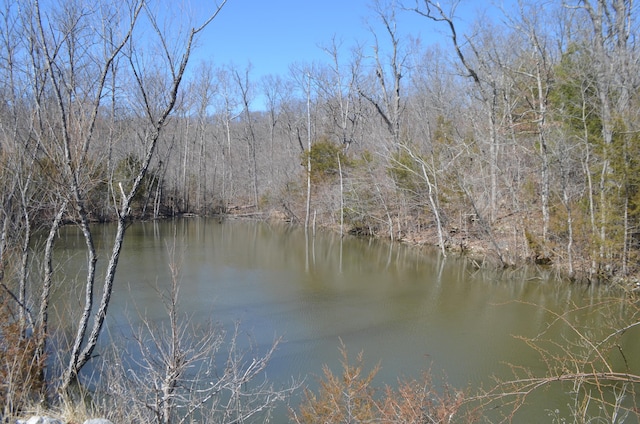 property view of water with a wooded view