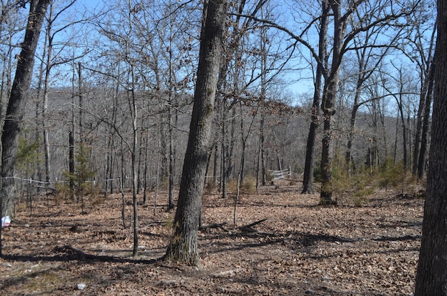 view of local wilderness featuring a wooded view