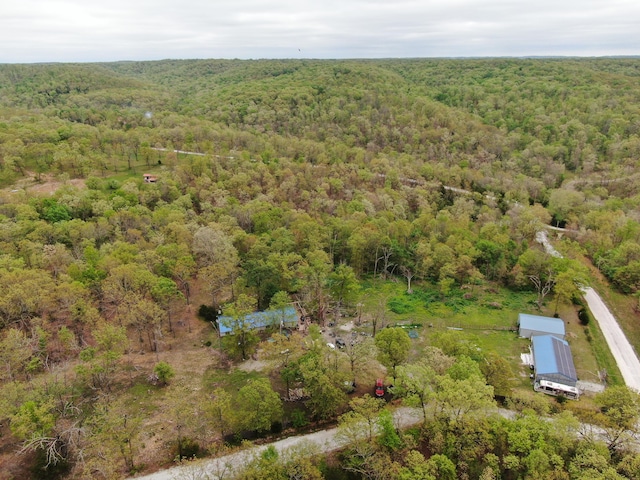 1955 Highview Cir, Bruner, MO 65620 - photo 3