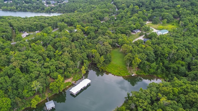 bird's eye view with a water view and a view of trees