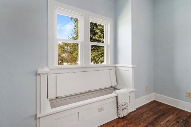 room details featuring wood finished floors and baseboards