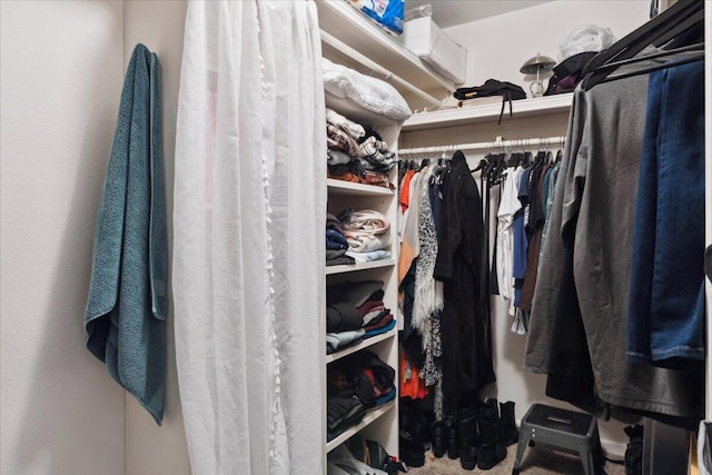 view of spacious closet