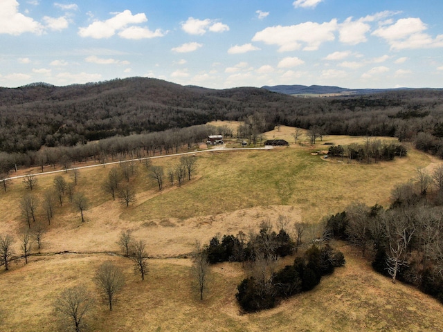 property view of mountains with a rural view