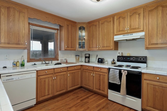 kitchen featuring electric range, under cabinet range hood, a sink, light wood-style floors, and dishwasher