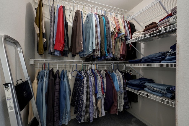 view of walk in closet