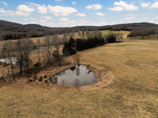 view of mountain feature