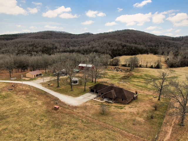 bird's eye view featuring a rural view, a mountain view, and a view of trees