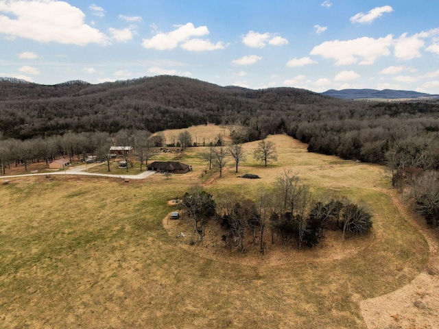 view of mountain feature with a rural view