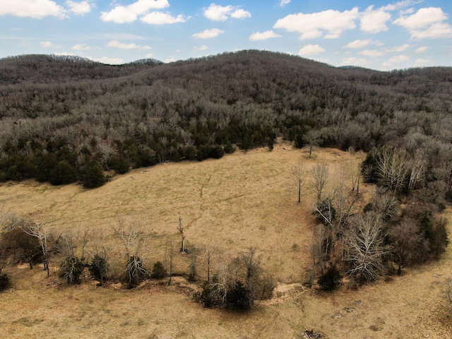 mountain view featuring a wooded view