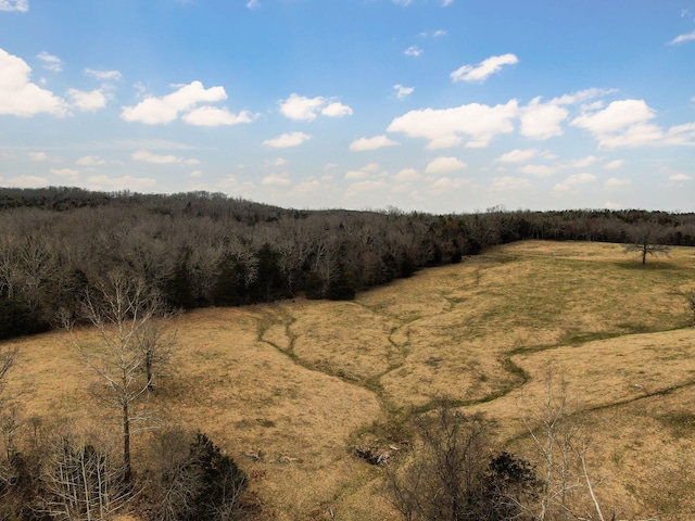 view of landscape with a view of trees