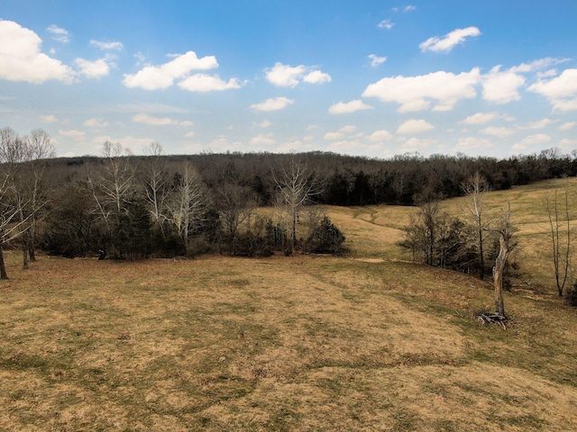 view of local wilderness featuring a rural view