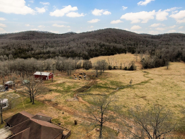 mountain view featuring a rural view and a forest view