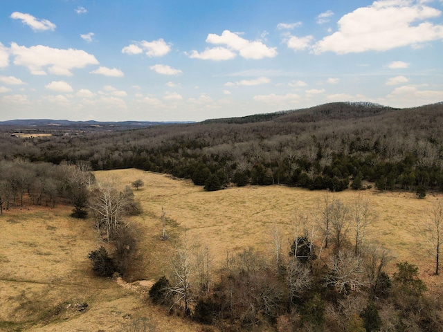 view of mountain feature featuring a view of trees