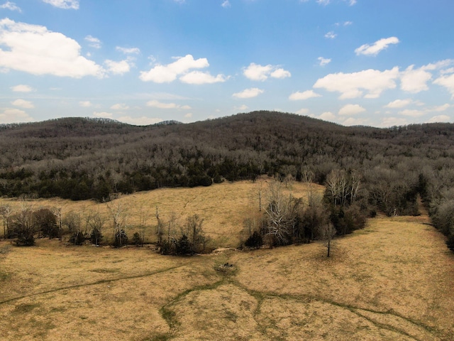 property view of mountains with a view of trees