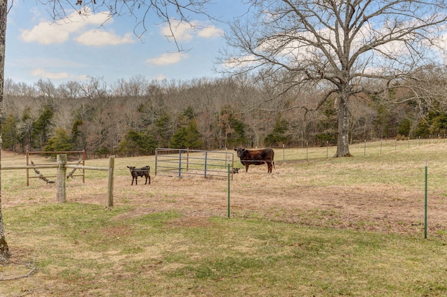 view of yard featuring a rural view, fence, and a forest view