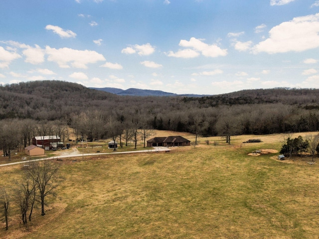 view of mountain feature with a rural view and a forest view