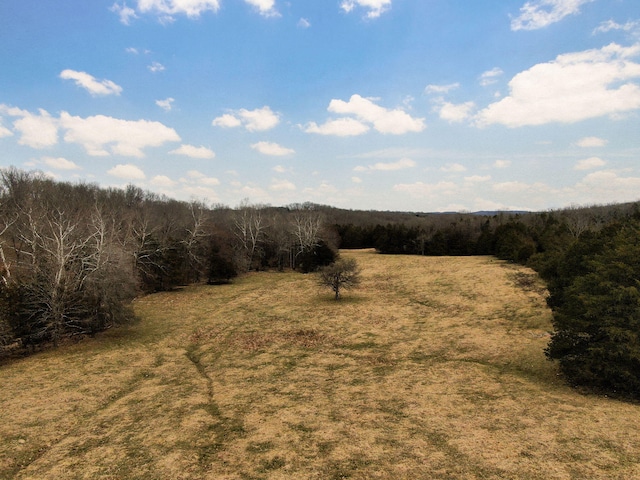 view of local wilderness with a forest view