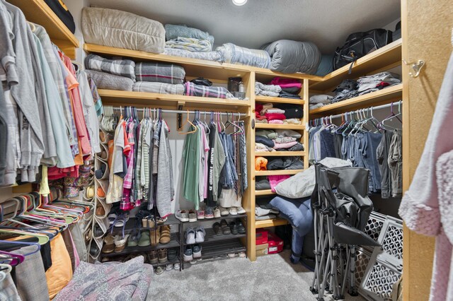 spacious closet featuring carpet