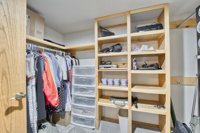 spacious closet featuring carpet flooring