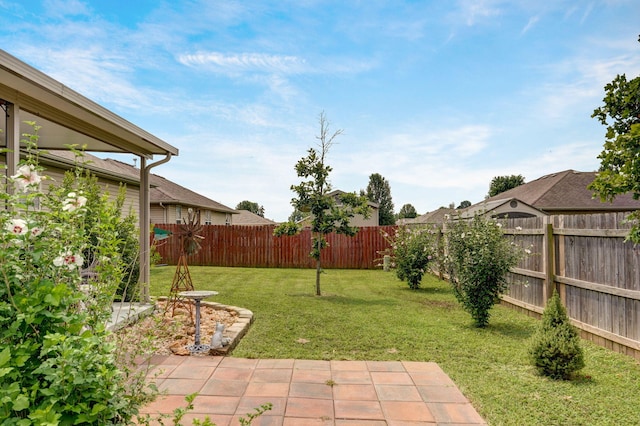 view of yard with a patio and a fenced backyard