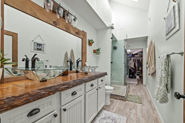 bathroom with toilet, a stall shower, wood finished floors, vanity, and a spacious closet