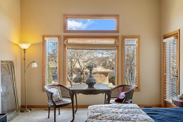 interior space featuring carpet flooring and baseboards