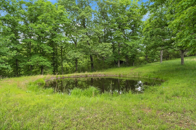 view of local wilderness featuring a water view