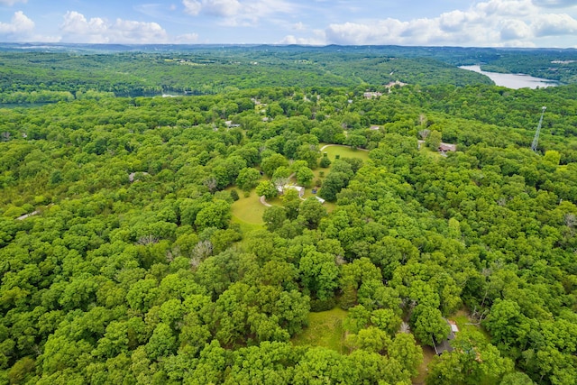 bird's eye view with a view of trees and a water view