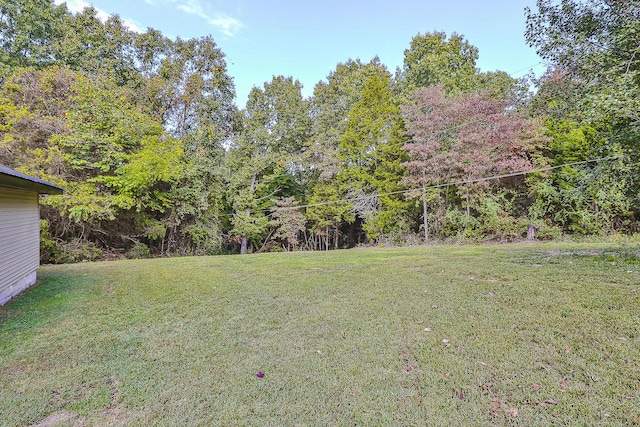 view of yard with a view of trees