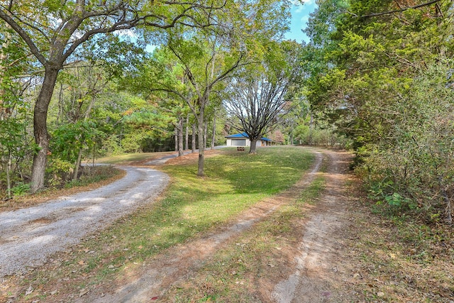 view of street with a wooded view and driveway