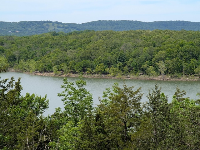 000 Briarcliff Dr, Shell Knob, MO 65747