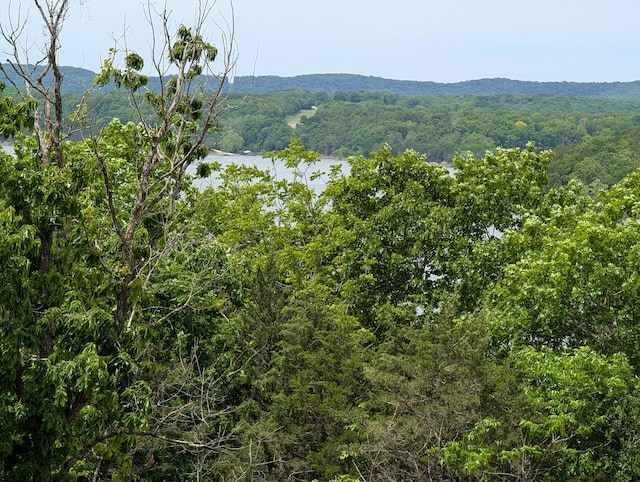 000 Briarcliff Dr, Shell Knob, MO 65747