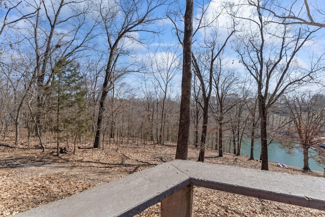 view of yard featuring a wooded view