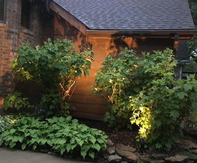 view of side of home featuring roof with shingles