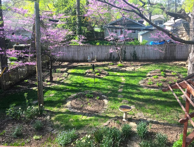 view of yard with a fenced backyard