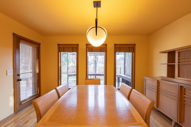 dining room featuring plenty of natural light, a textured ceiling, and light wood finished floors